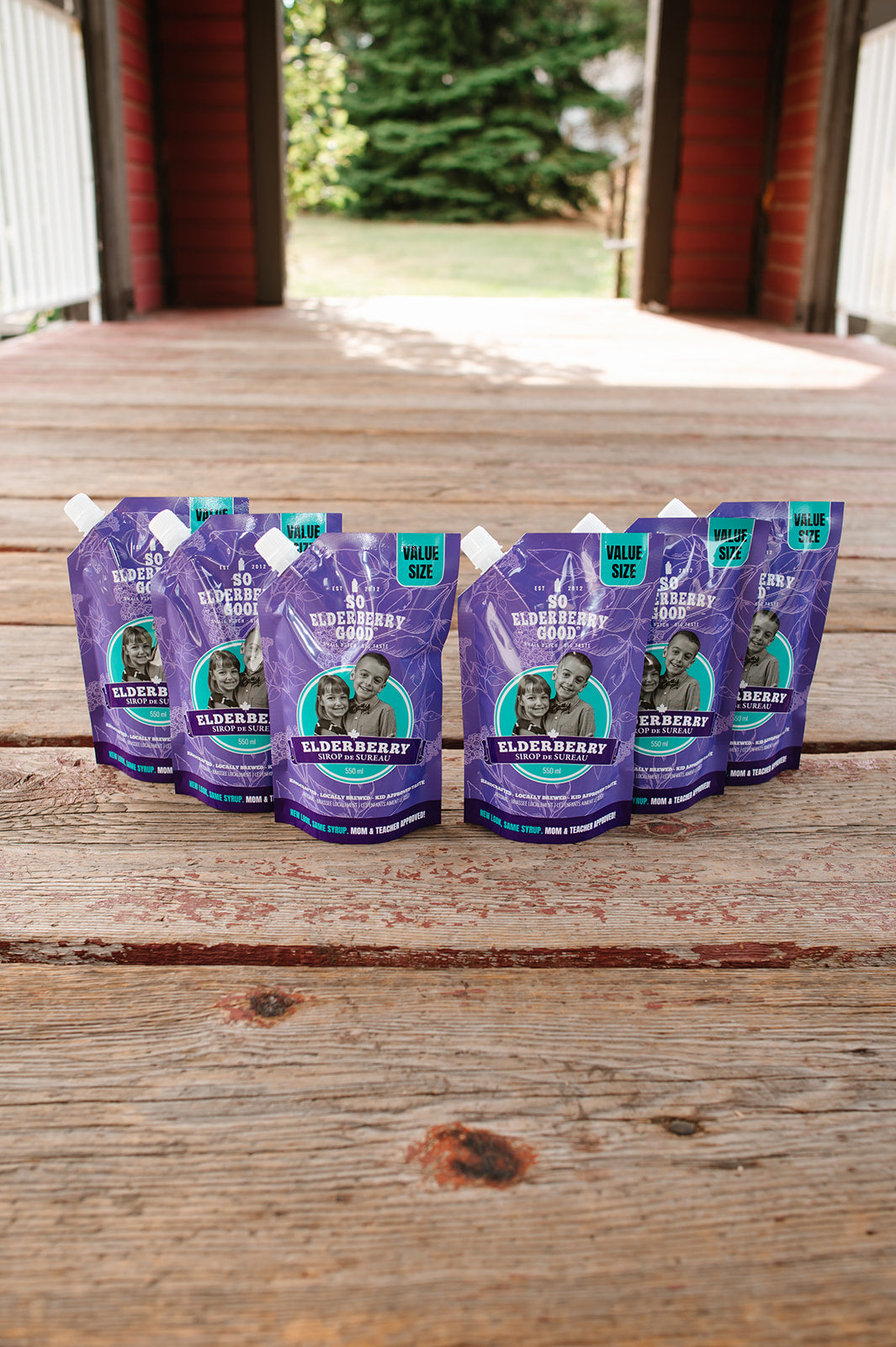 6 PACK Elderberry Syrup