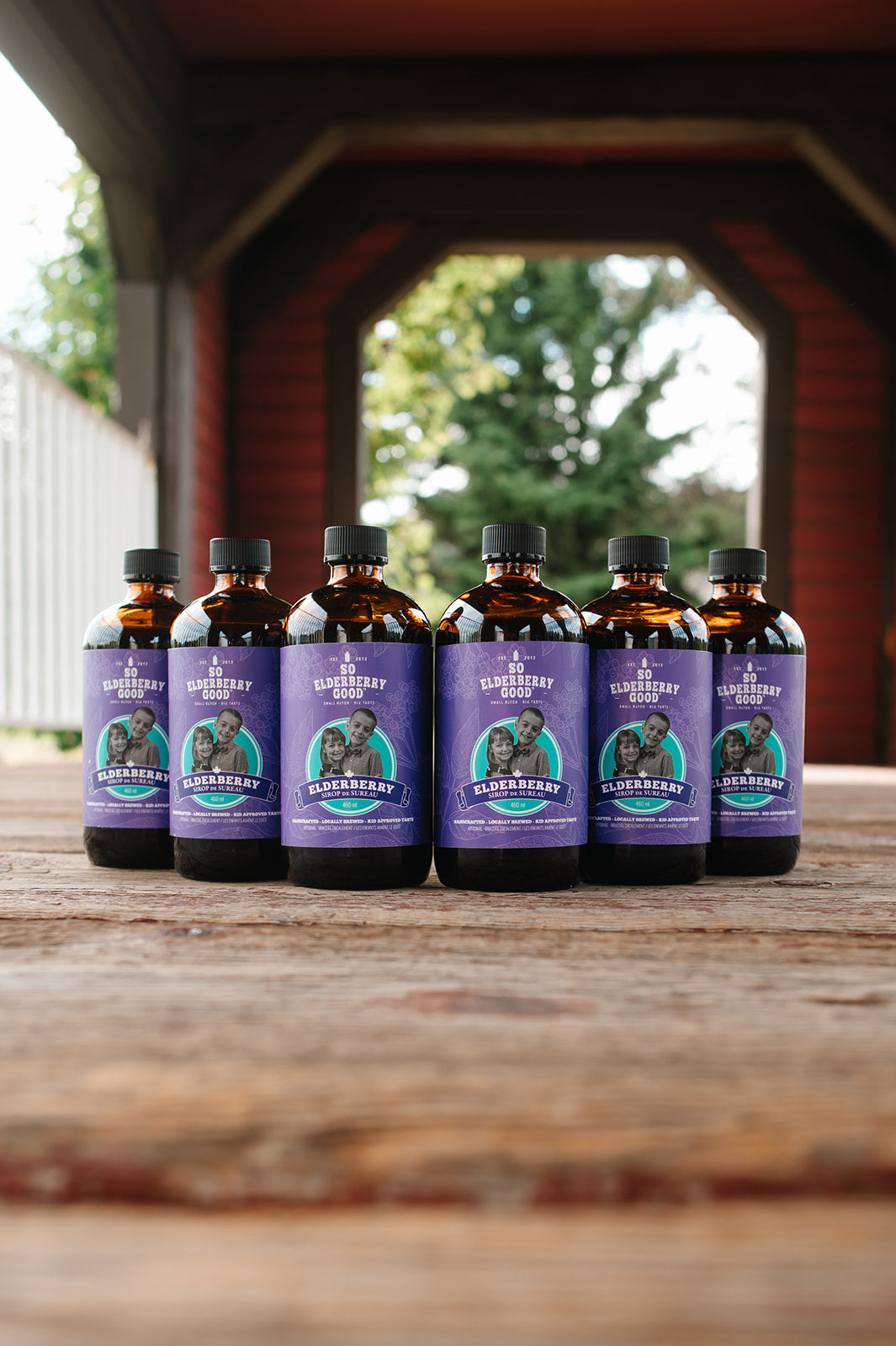 6 PACK Elderberry Syrup