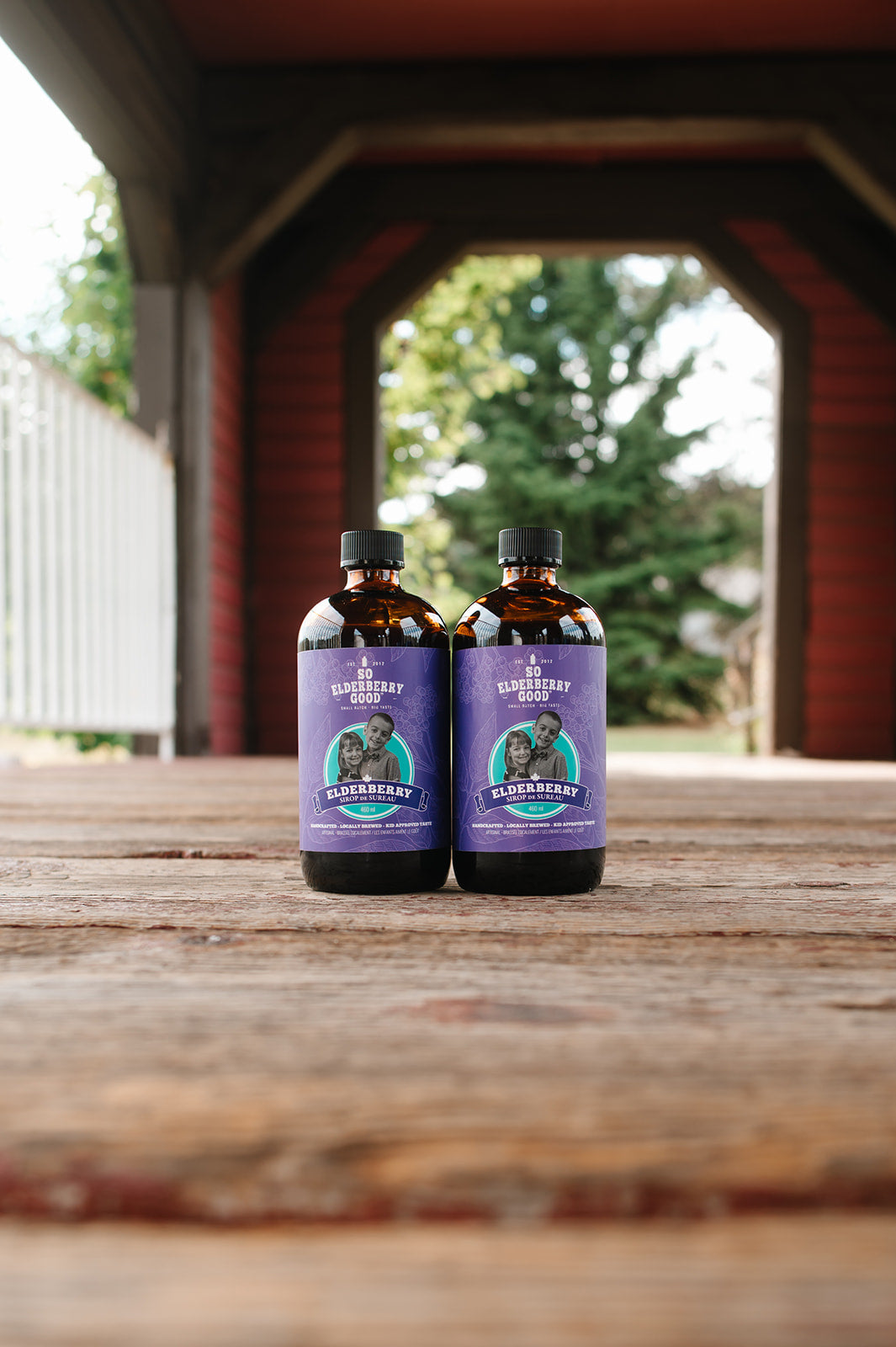 2 PACK Elderberry Syrup